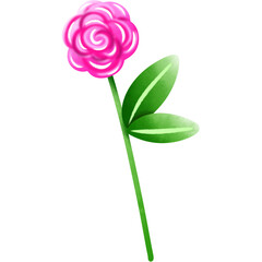 pink rose