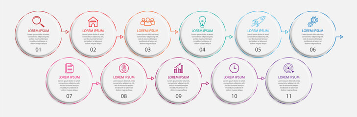 simple infographic vector design 11 steps or parts, circles with thin and thick lines, icons, text, numbers, for flow diagrams, presentations and your business