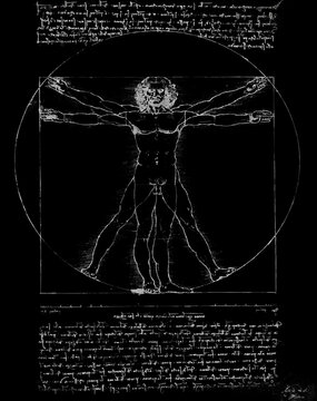 Vitruvian Man by Leonardo Da Vinci - Illustration Silver on Black