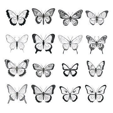Set of Black Butterfly in Shadow. Set of Butterfly black icon. Butterfly silhouette isolate png.