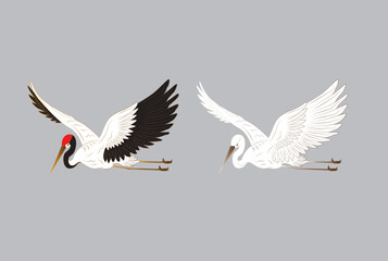 bird illustration for book drawing page