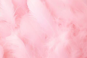 Soft pink feathers texture background. Swan Feather 