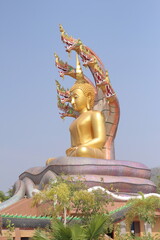 golden buddha statue