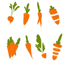 Set of carrot illustrations in vector