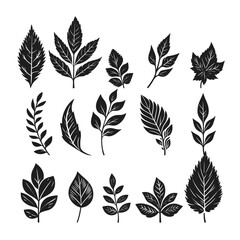  vector black leaf inked silhouettes set , vector isolated illustration