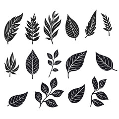  vector black leaf inked silhouettes set , vector isolated illustration