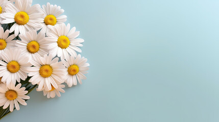 Daisy bunch isolated on blue background Copy space, summer, spring