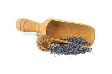 Poppy seeds and seed pod over white background