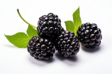 Fresh ripe juicy blackberries, sweet blackberries in a pile.