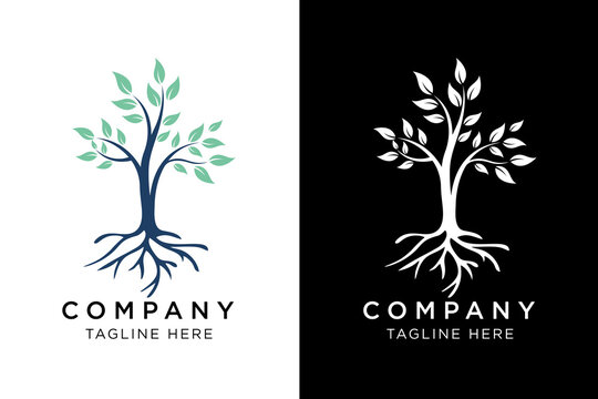 simple rooted tree branch logo