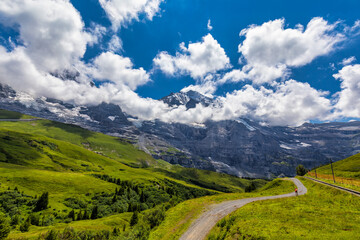 Fototapeta premium Panoramic view of idyllic mountain scenery in the Alps with fresh green meadows in bloom on a beautiful sunny day in summer, Switzerland. Idyllic mountain landscape in the Alps with meadows in summer.