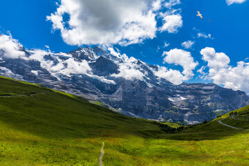 Fototapeta na wymiar Panoramic view of idyllic mountain scenery in the Alps with fresh green meadows in bloom on a beautiful sunny day in summer, Switzerland. Idyllic mountain landscape in the Alps with meadows in summer.