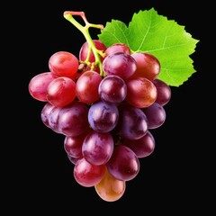 Fototapeta premium fresh grape cluster with leaves