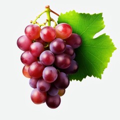 Fototapeta premium fresh grape cluster with leaves