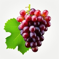Fototapeta premium fresh grape cluster with leaves