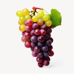 Fototapeta premium fresh grape cluster with leaves