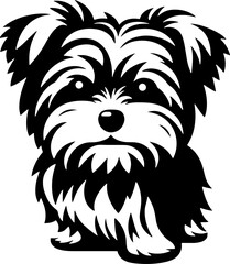 Morkie icon 7