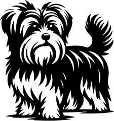 Morkie icon 6