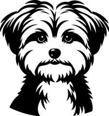 Morkie icon 3