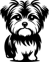 Morkie icon 1