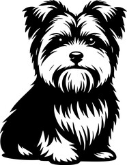 Morkie icon 4