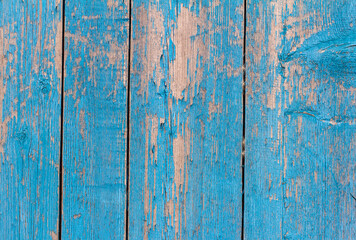 old wooden wall painted blue, weathered wooden background with nails and slits.