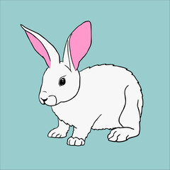 illustration of a rabbit, rabbit, bunny, hare