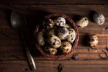Fresh quail eggs