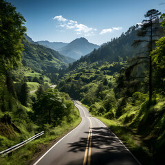 road  nature