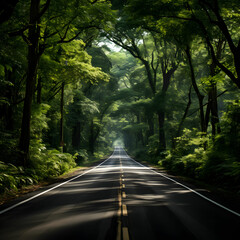 road  nature