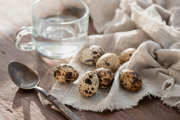 Fresh quail eggs