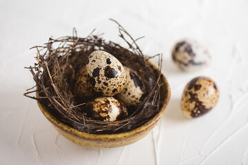 Fresh quail eggs