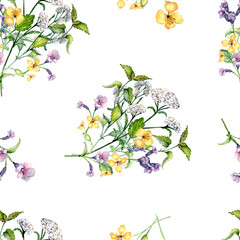 Seamless wild medicinal plant, herbs watercolor pattern isolated on white background. Floral pattern with millefolium, nettle, pulmonaria, celanine hand drawn. Design for label, package, textile