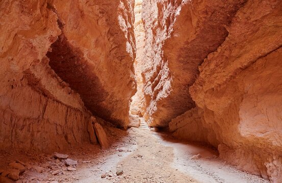 The stunning Bryce Canyon National Park, known for its many orange-colored hoodoos