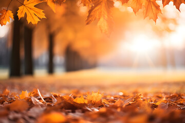 Naklejka na ściany i meble Autumn leaves in the park.