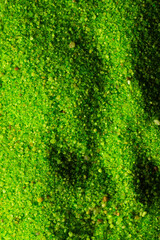 Vertical image of close up of green powder with copy space background