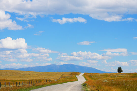 Gravel road crosses a ranch leading towards the mountains