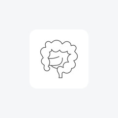 Large Intestine , Digestive Tract, Medical Icon thin line icon, grey outline icon, pixel perfect icon