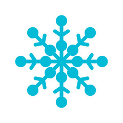 snowflake icon, ornament vector