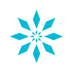 snowflake icon, ornament vector