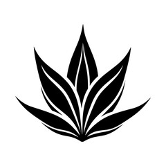 Simple Vector Illustration of Agave. SVG