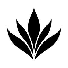 Simple Vector Illustration of Agave. SVG