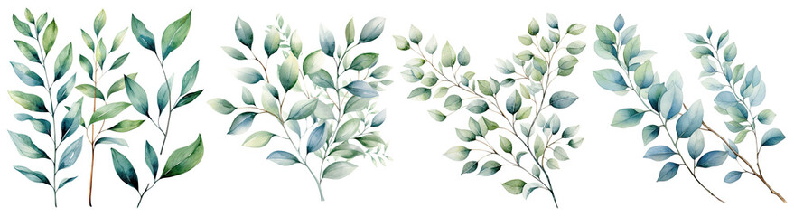 Watercolor leaves and branches , leaves Green color, Leaf elegant hand drawn , wedding invitations, greeting cards, gift tags illustration, leaves and branches isolated transparent background, PNG