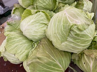 山積みのキャベツ