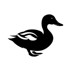 duck isolated on white