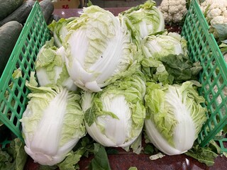 白菜の写真