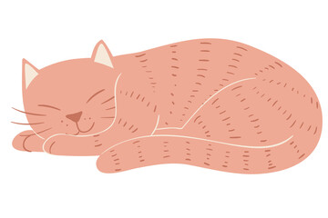cat sleep 