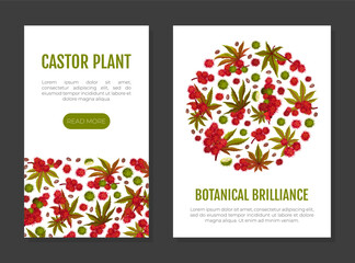 Castor Plant Banner Design with Leaves and Inflorescence Vector Template