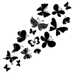 Vector silhouettes of flying butterflies of various shapes. Single color image isolated on transparent background