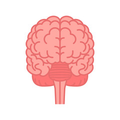 Human brain front view. Flat vector color illustration isolated on white background.